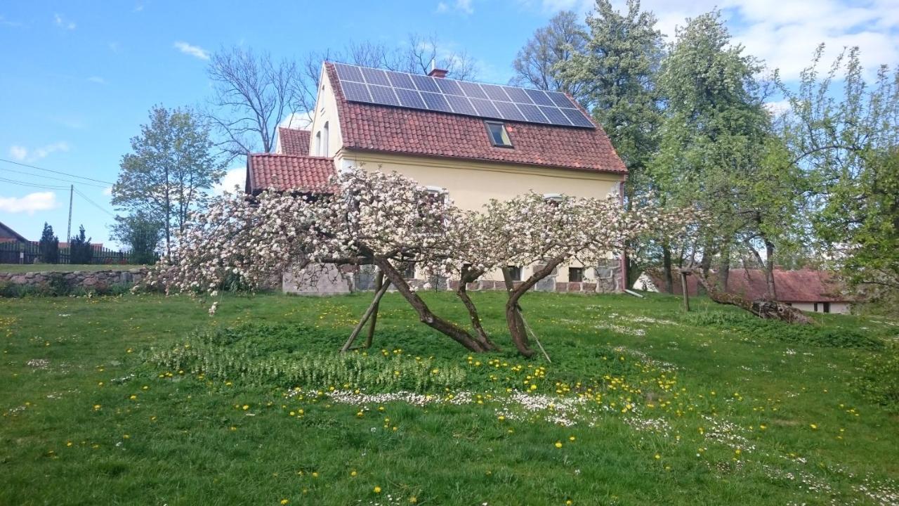 Dworek * Szarki